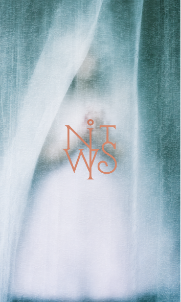 "Behind the Veil: Ein Flüstern hinter dem Vorhang" – Digitaler Kunstdruck