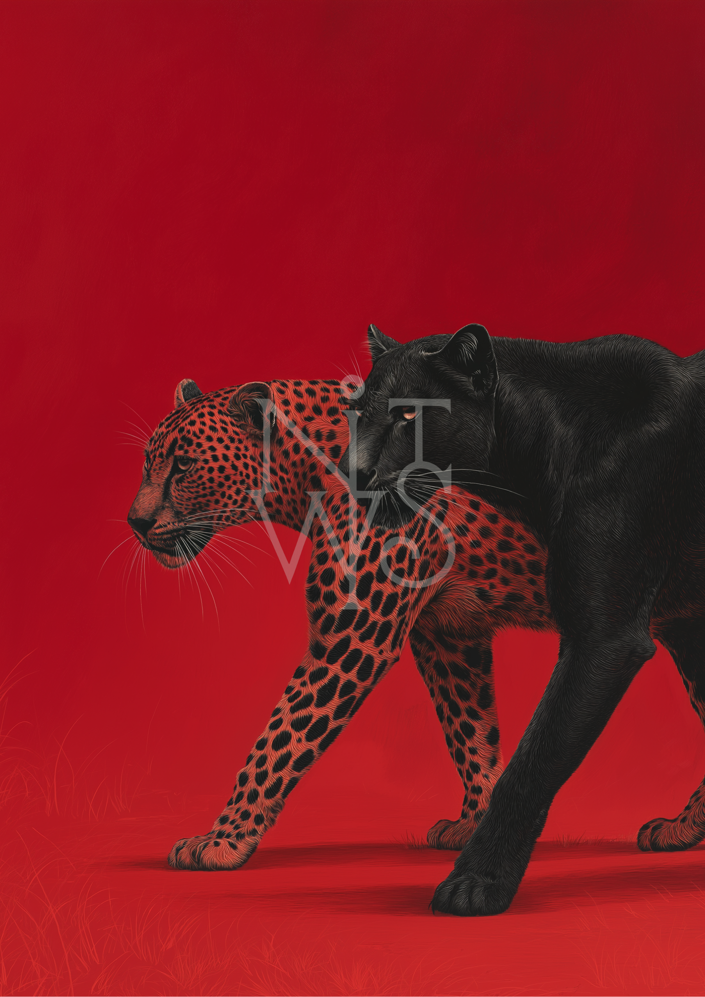 „Zwei Raubkatzen – Kraft & Anmut“