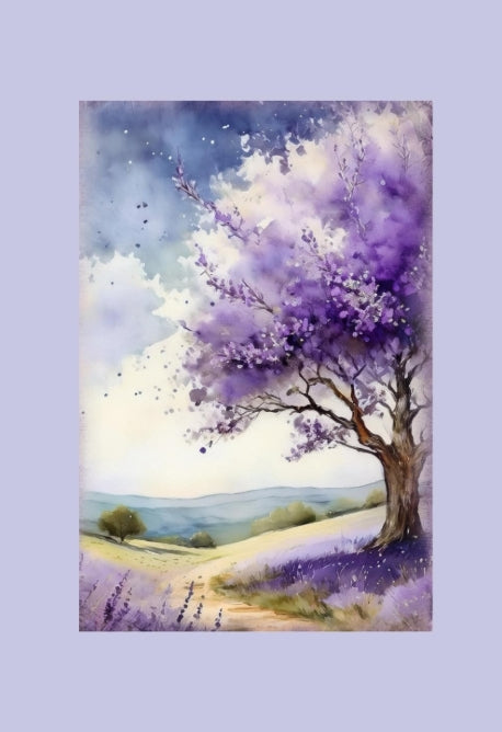 Lavendelträume: Eine Reise durch Düfte und Geschichten