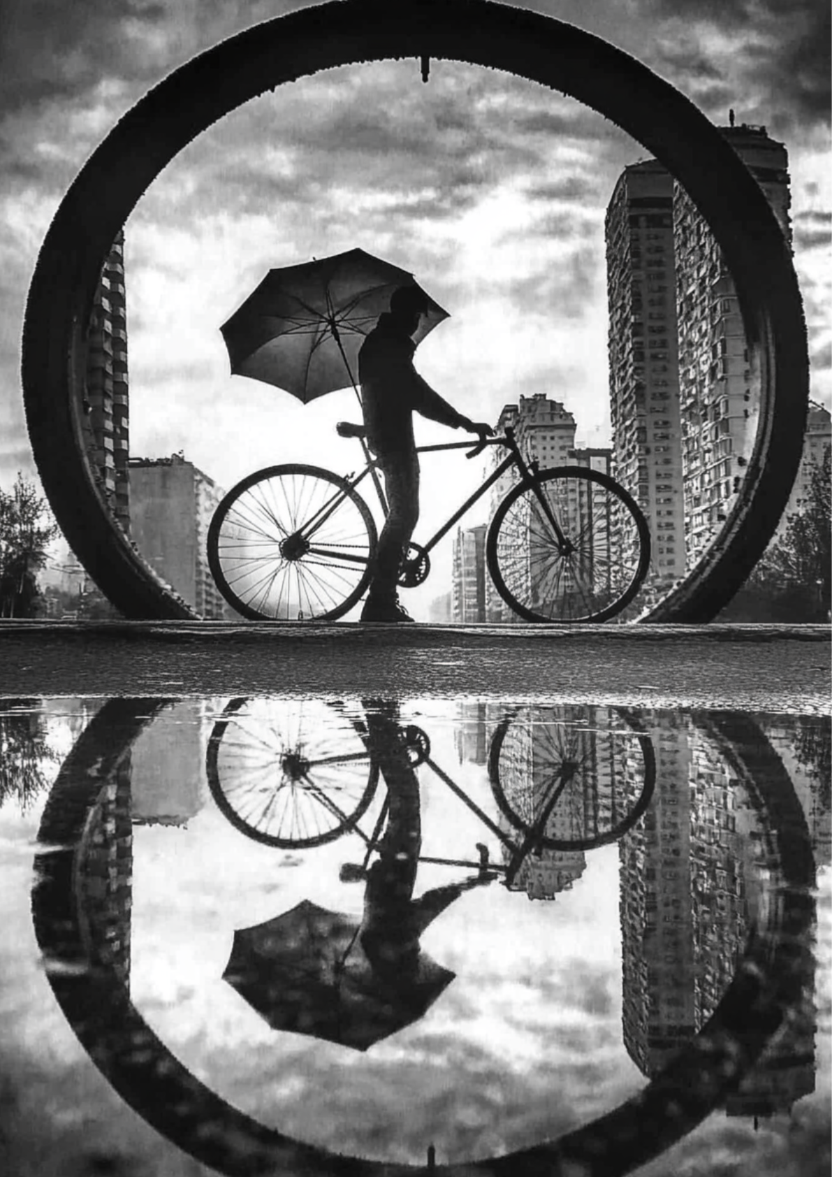 Shadow Ride No. 01 | Printable Wall Art A2 Ein Fahrrad. Ein Schatten. Ein stiller Moment zwischen Bewegung und Erinnerung. Diese digitale Wandkunst wirkt wie eine Szene, die man nicht erklärt – sondern spürt.