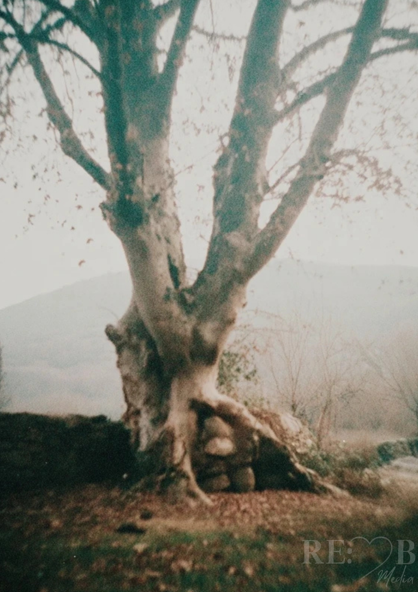 Whispers of Elsewhere – Vintage Photo Poster Bundle Manche Bilder sprechen nicht laut. Sie bleiben einfach. Acht analoge Fotografien zwischen Erinnerung, Stille und Licht – als digitale Poster zum sofortigen Download.