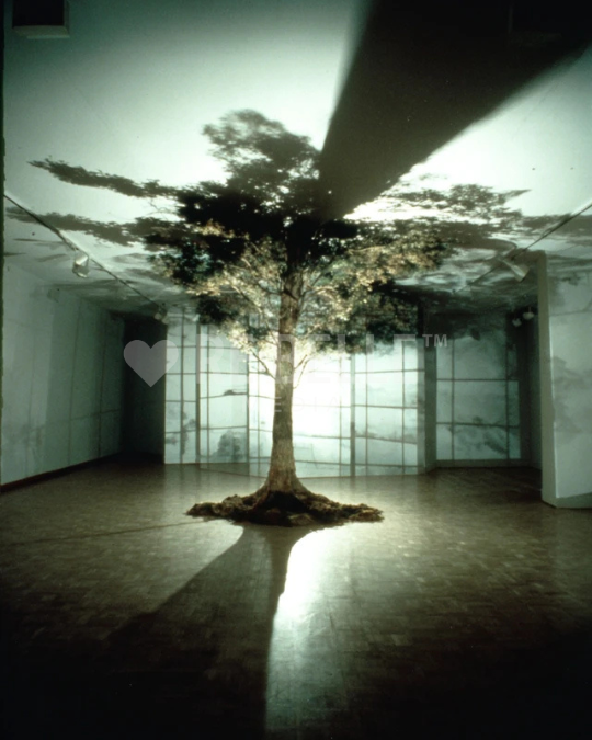 Lichtschatten & Stille: Eine Galerie für die Dunkelheit.