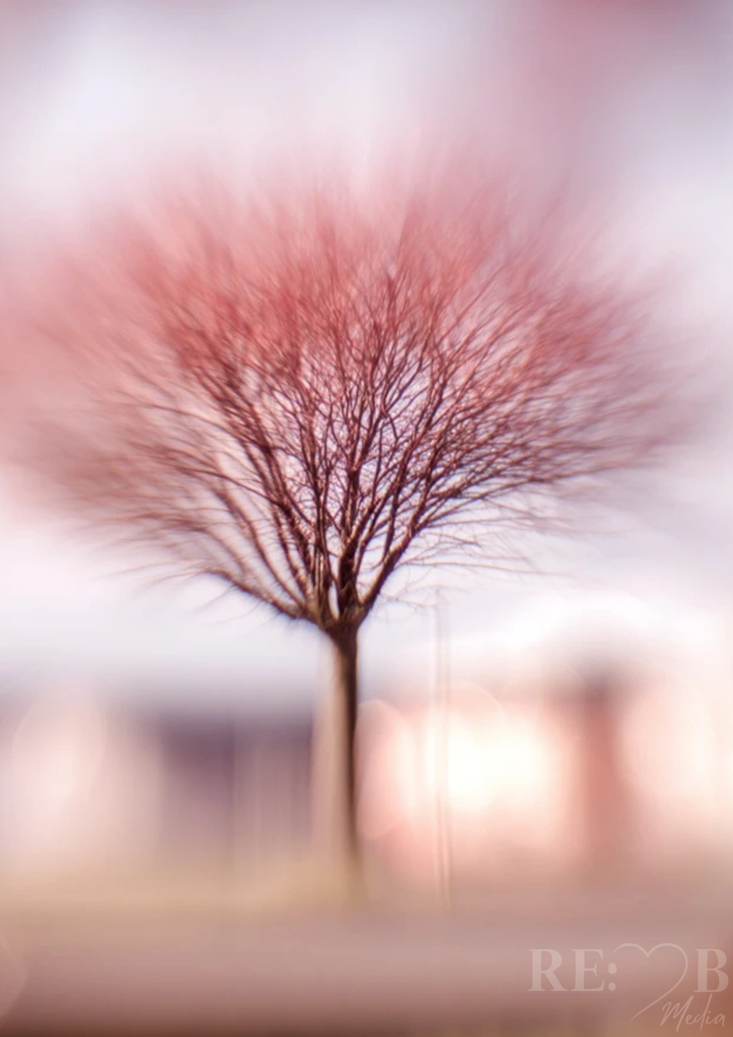 Whispers of Elsewhere – 8 Dreamlike Printable Posters Manche Bilder erklären nichts. Und sagen trotzdem alles. „Whispers of Elsewhere“ ist eine Sammlung aus acht träumerischen Fine-Art-Motiven, die Räume weicher, stiller und persönlicher wirken lassen.
