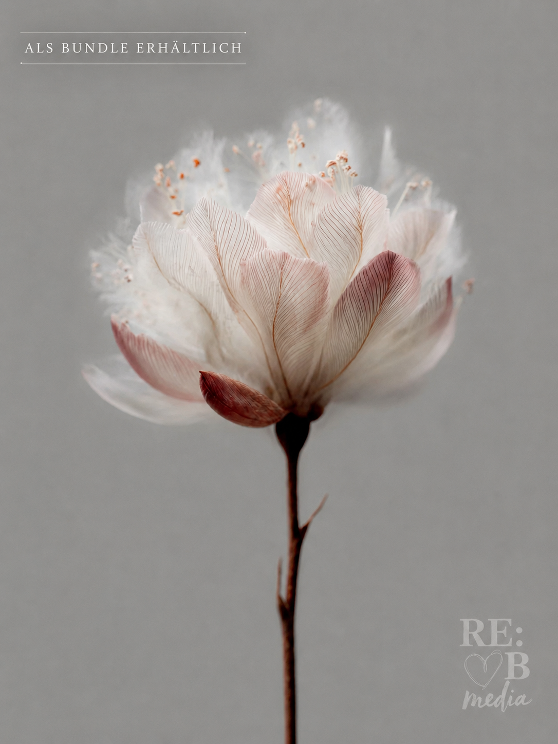 WHITE SILENCE — A2 Digital Poster Bundle | 18 Printable Fine Art Prints