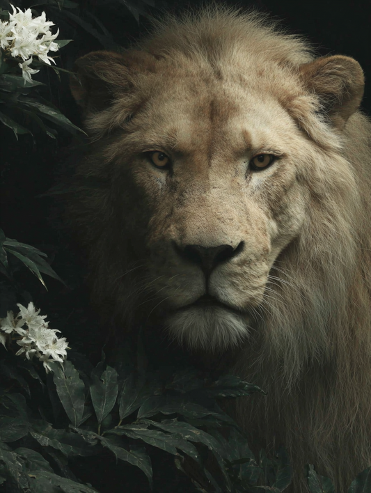Silent Lion – Digitales A2 Poster