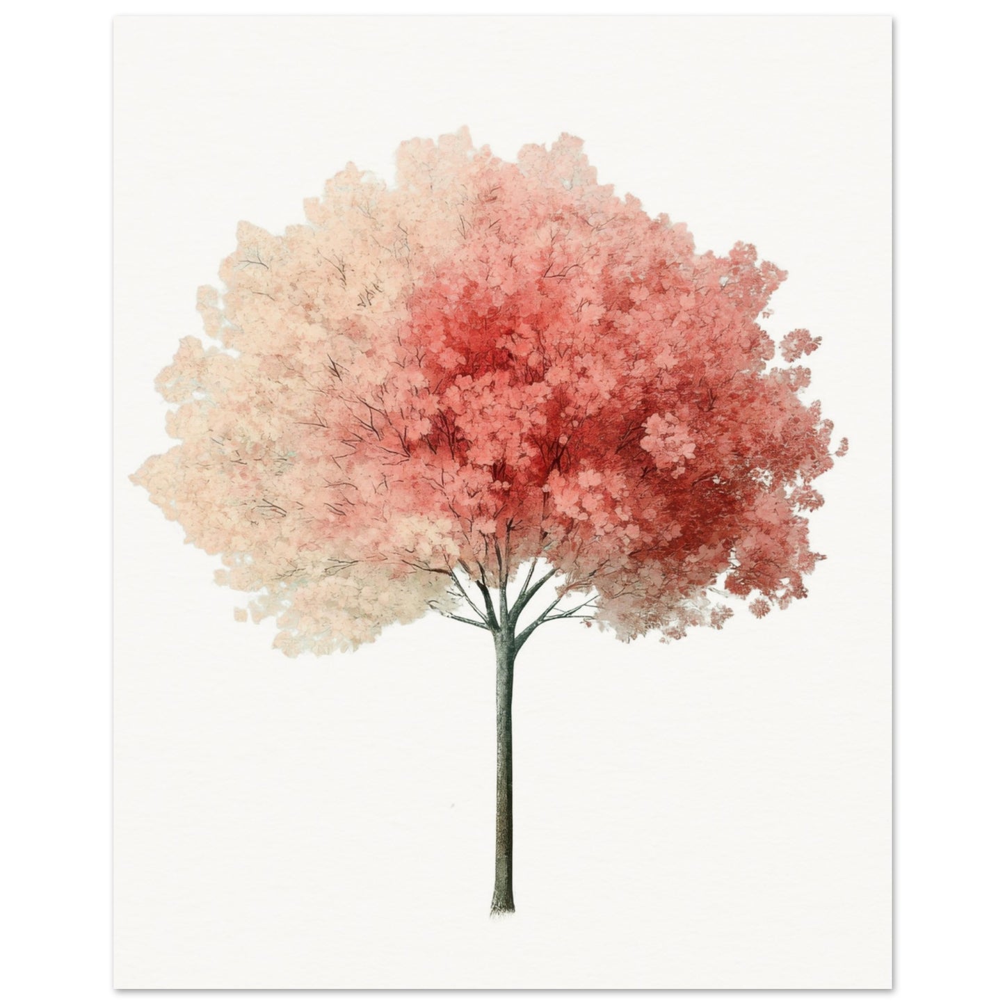 c2fd3274-aad5-4e13-a20b-1fc4eb3e9556