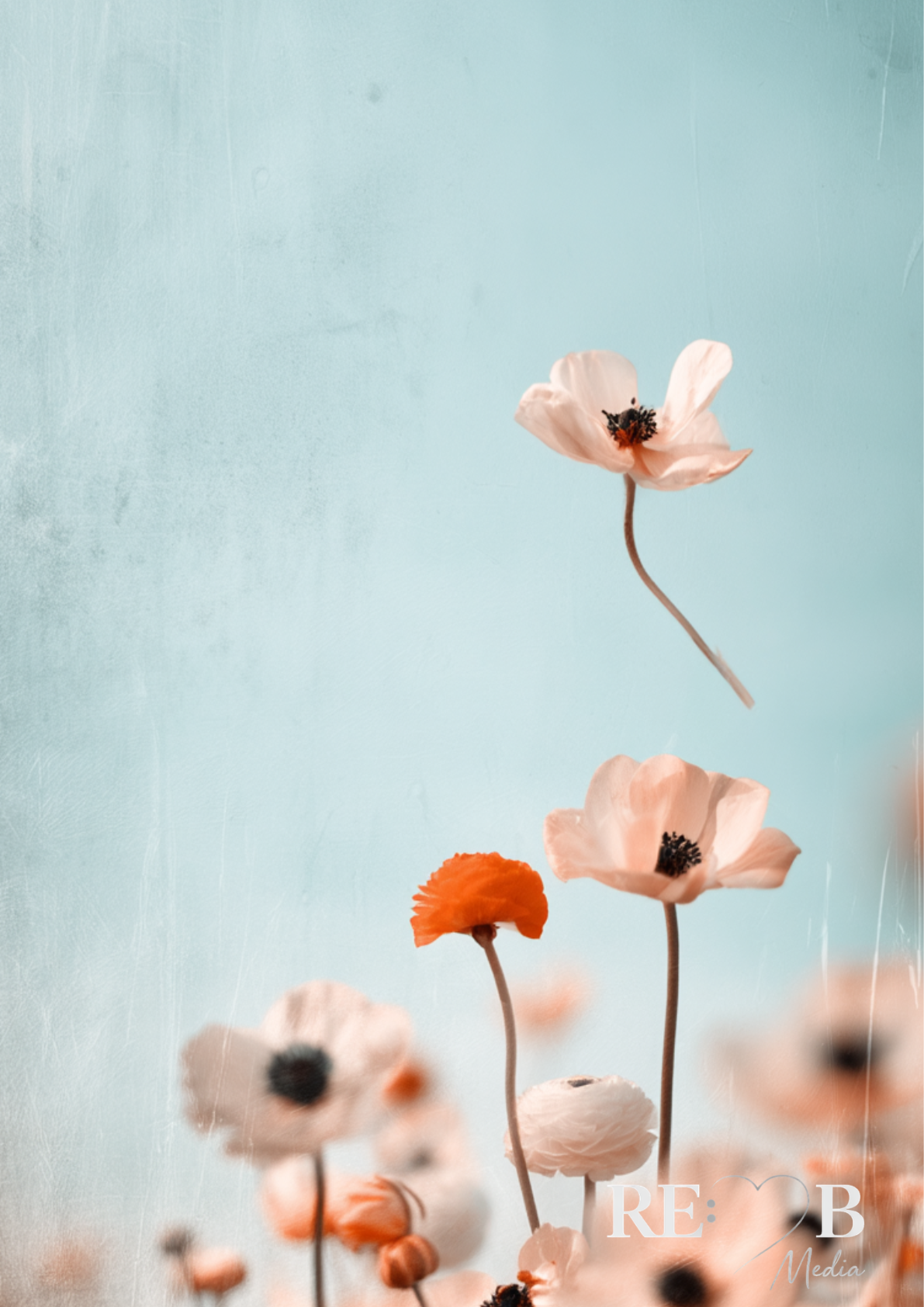 Bundle Dreamy Florals No. 1-19 – Digitaler Fine Art Download A2 | RE:BELLE™   aufeinander abgestimmte Blumen-Prints als Sofort-Download. A2, 300 dpi, druckfertig. Deine Wände als kuratierte Galerie. RE:BELLE™