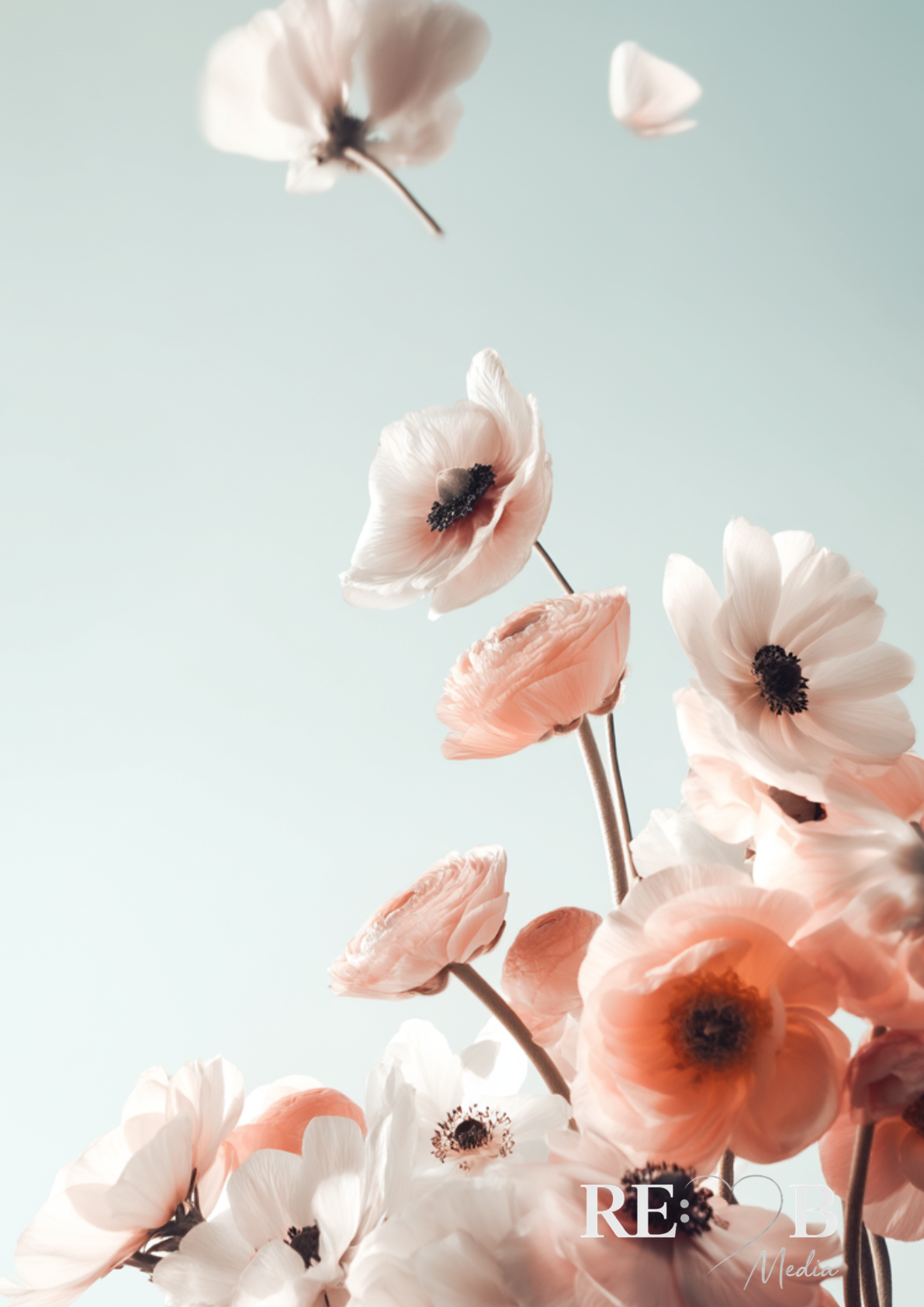 Bundle Dreamy Florals No. 1-19 – Digitaler Fine Art Download A2 | RE:BELLE™   aufeinander abgestimmte Blumen-Prints als Sofort-Download. A2, 300 dpi, druckfertig. Deine Wände als kuratierte Galerie. RE:BELLE™