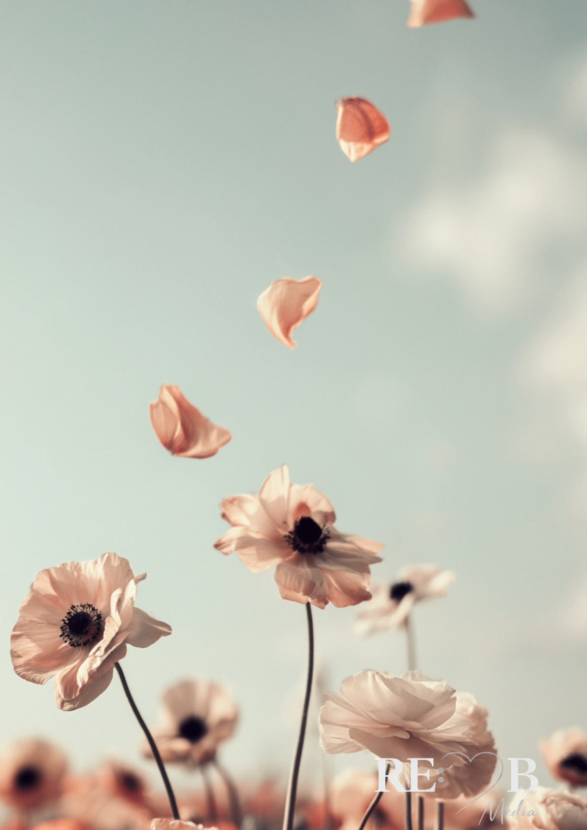 Bundle Dreamy Florals No. 1-19 – Digitaler Fine Art Download A2 | RE:BELLE™   aufeinander abgestimmte Blumen-Prints als Sofort-Download. A2, 300 dpi, druckfertig. Deine Wände als kuratierte Galerie. RE:BELLE™