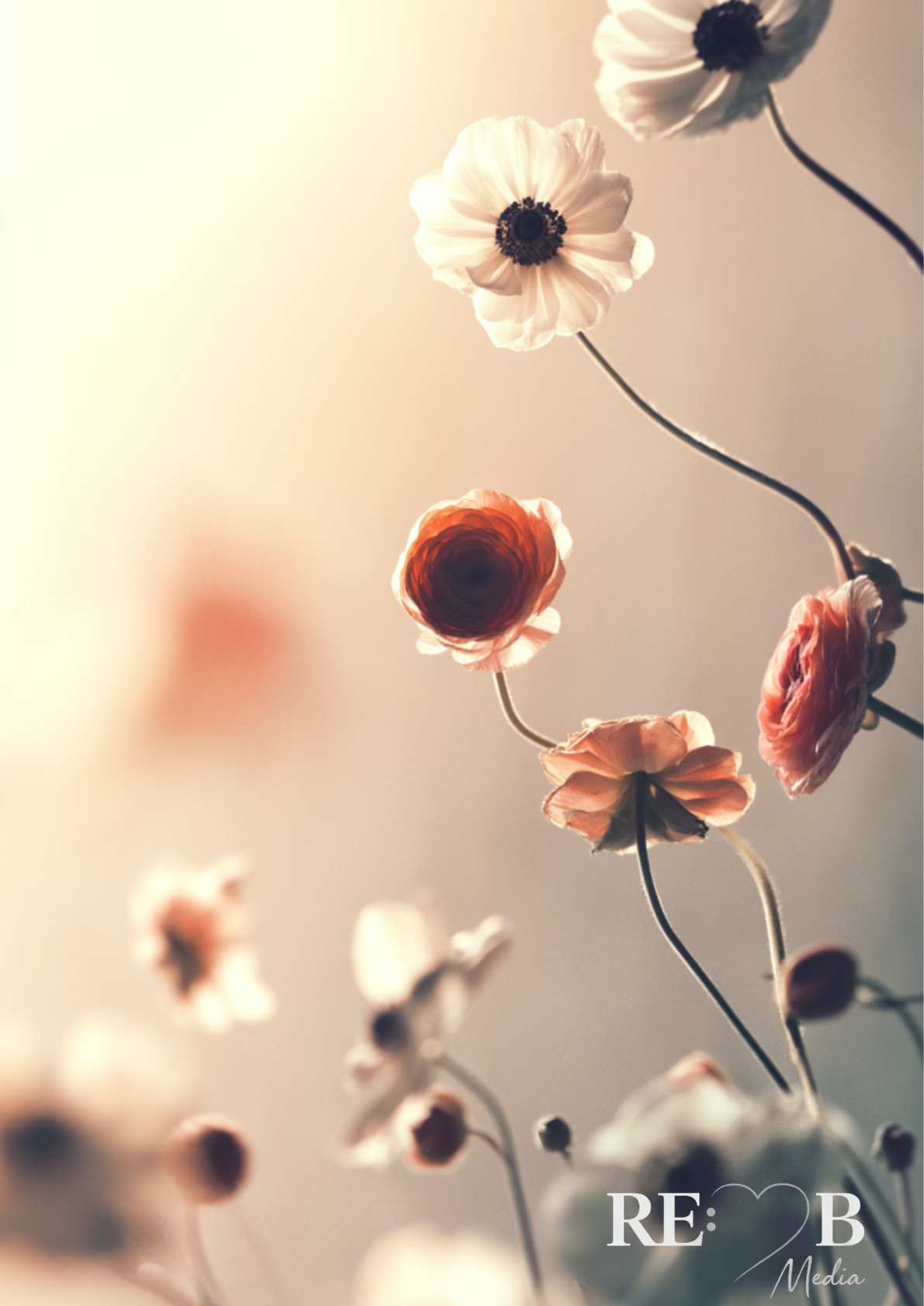 Bundle Dreamy Florals No. 1-19 – Digitaler Fine Art Download A2 | RE:BELLE™   aufeinander abgestimmte Blumen-Prints als Sofort-Download. A2, 300 dpi, druckfertig. Deine Wände als kuratierte Galerie. RE:BELLE™