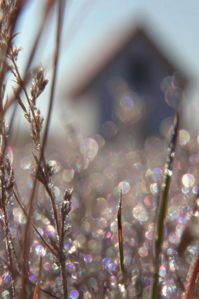 PRISM SILENCE — 8-teiliges A2 Printable Wall Art Bundle mit Licht, Makro & stiller Tiefe