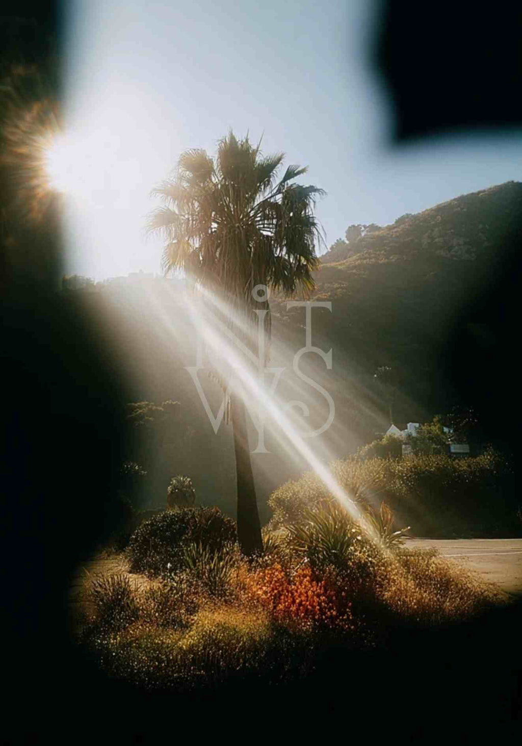 Licht trifft Haut – Fine Art Print Kollektion A2