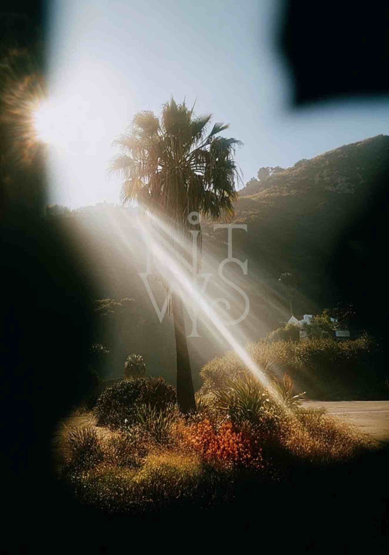 Licht trifft Haut – Fine Art Print Kollektion A2