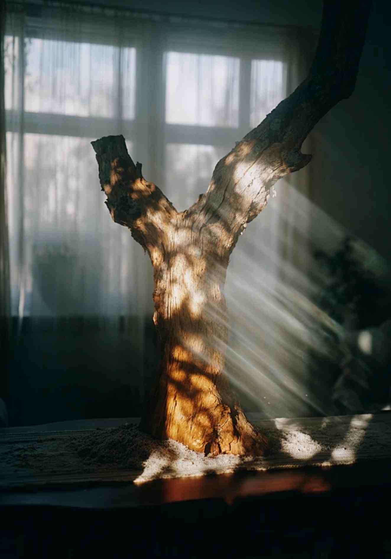 Licht trifft Haut – Fine Art Print Kollektion A2