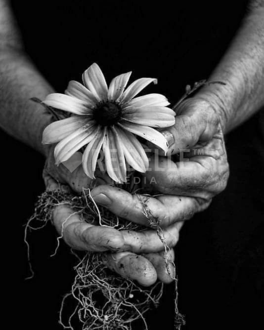 Was bleibt, wenn alles gesagt ist.