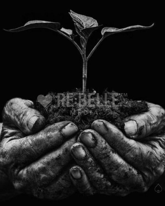 Was bleibt, wenn alles gesagt ist.