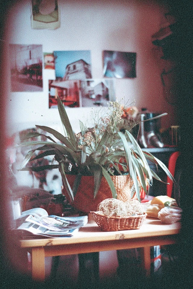 Through the Viewfinder – Vintage Film Moments Bundle | Acht Bilder wie Erinnerungen, die nie laut geworden sind. Ein digital poster bundle für Menschen, die Atmosphäre nicht dekorieren Körnung, Stille und ein Blick durch den Sucher. 🖤