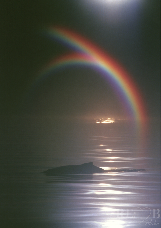 Zwischen Licht und Tiefe – Regenbogen über stiller See | A2 Fine Art Poster   Es ist nicht laut. Und genau deshalb bleibt es. Ein Bild für Räume, die nicht erklären müssen.