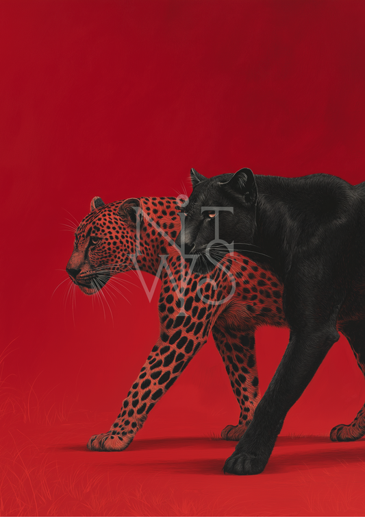 „Zwei Raubkatzen – Kraft & Anmut“